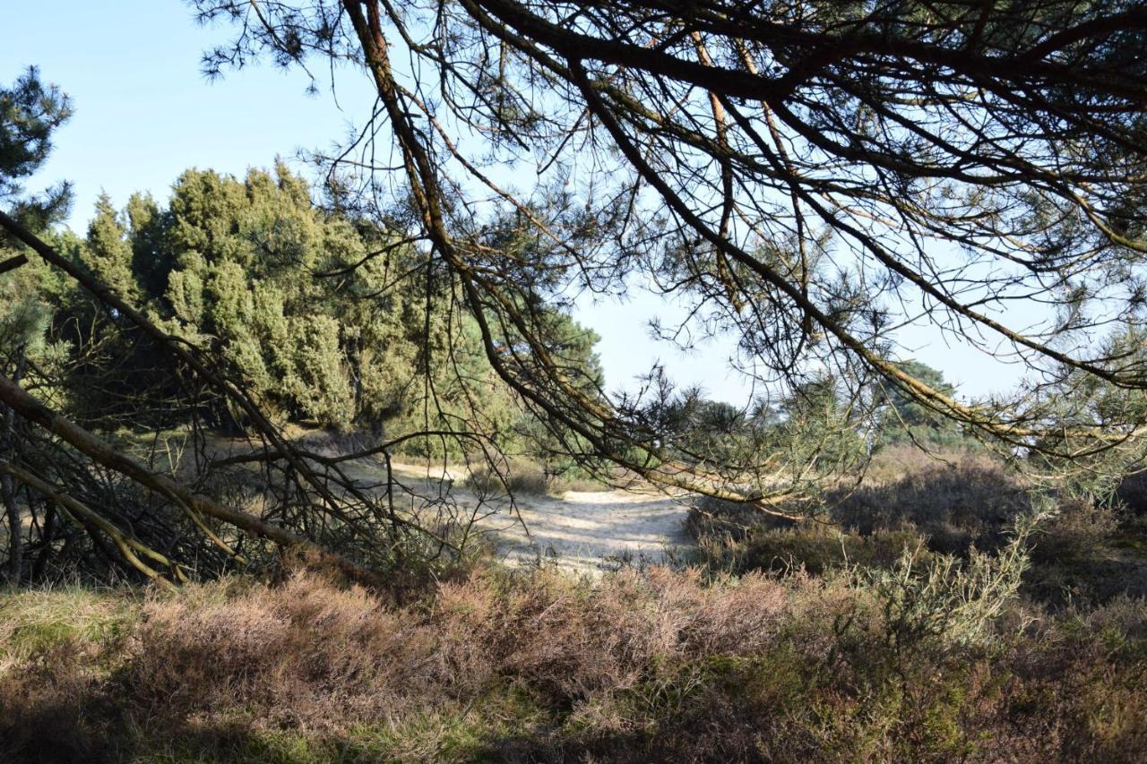 Camping Het Horstmannsbos Gasselte Ngoại thất bức ảnh
