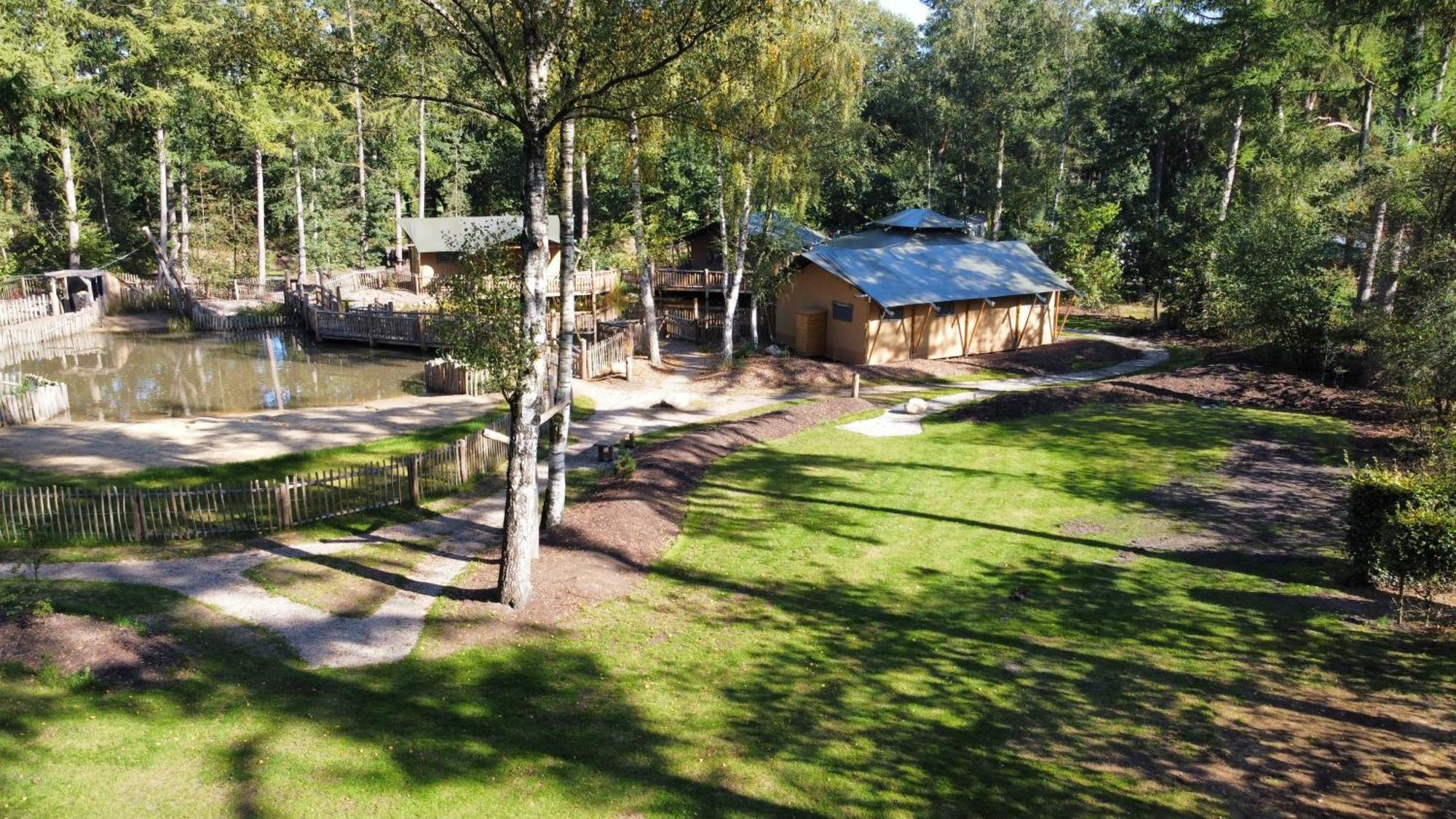 Camping Het Horstmannsbos Gasselte Phòng bức ảnh