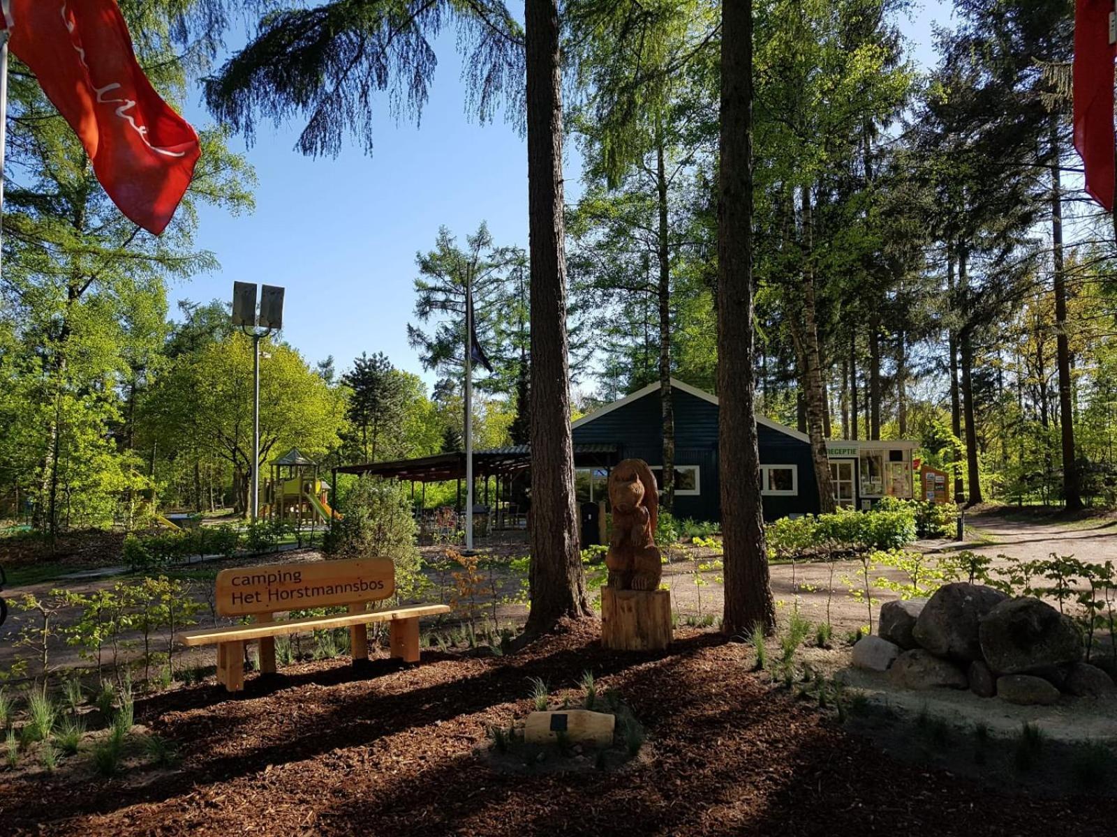 Camping Het Horstmannsbos Gasselte Ngoại thất bức ảnh