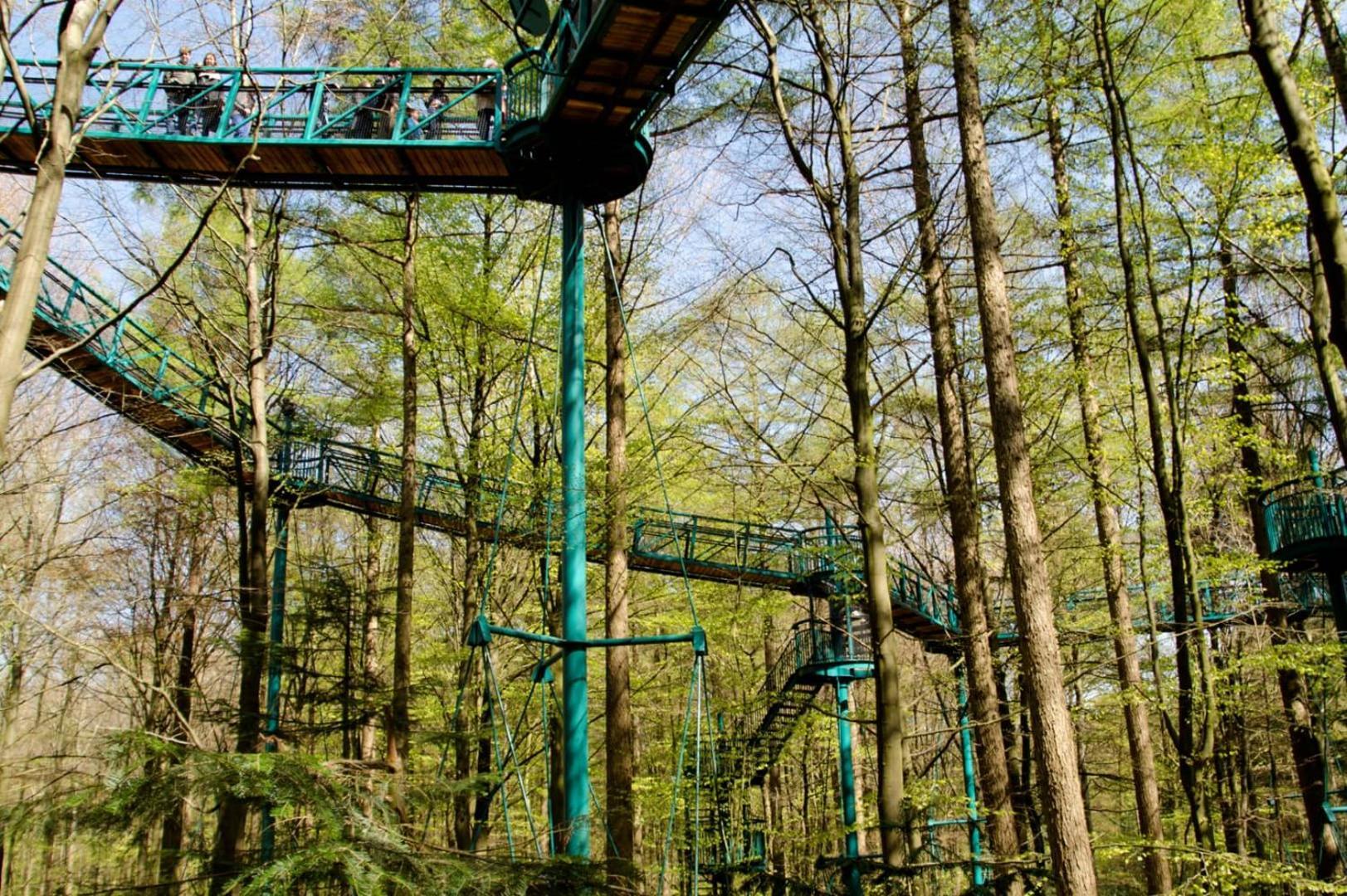 Camping Het Horstmannsbos Gasselte Ngoại thất bức ảnh