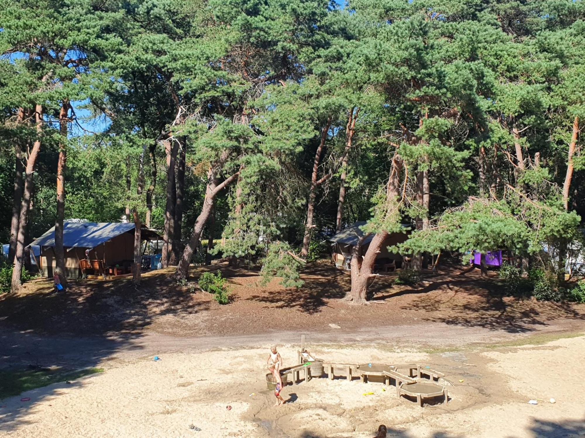 Camping Het Horstmannsbos Gasselte Ngoại thất bức ảnh