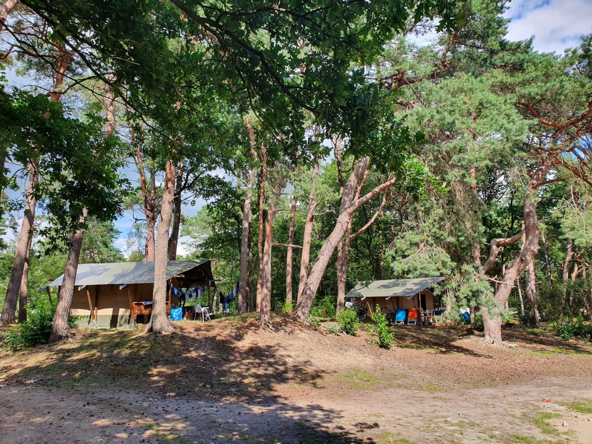 Camping Het Horstmannsbos Gasselte Phòng bức ảnh