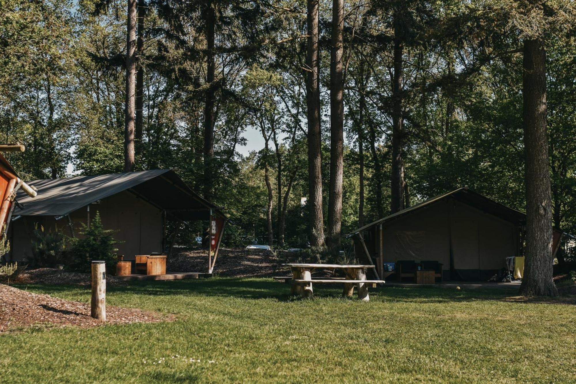 Camping Het Horstmannsbos Gasselte Ngoại thất bức ảnh