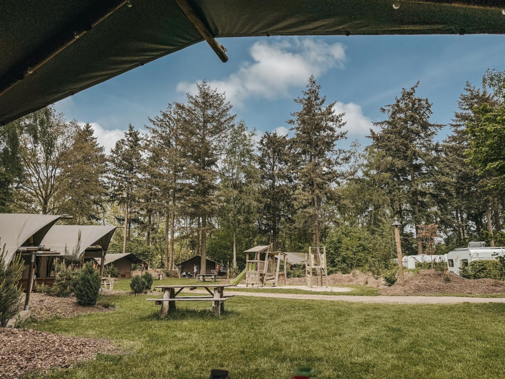 Camping Het Horstmannsbos Gasselte Ngoại thất bức ảnh