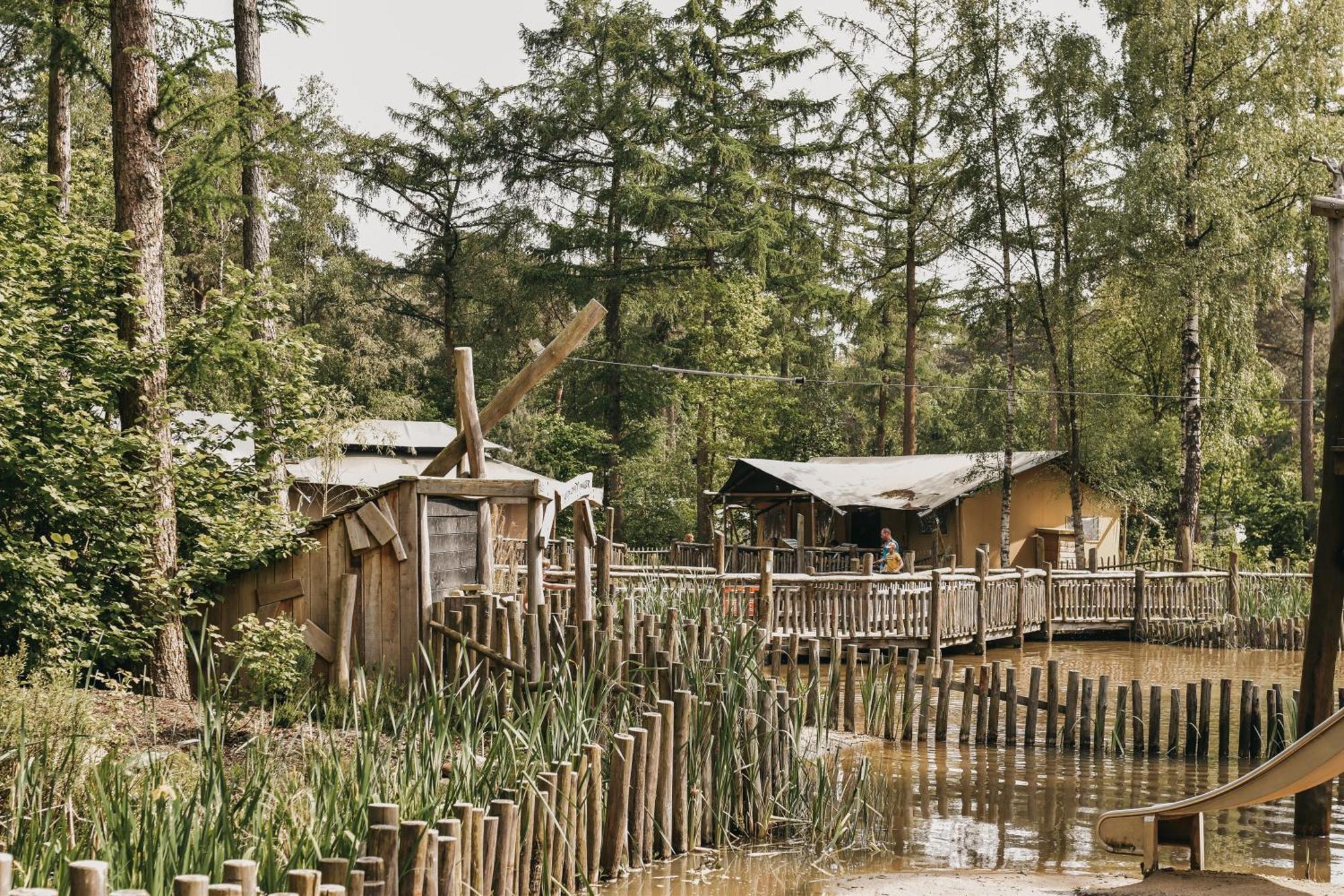 Camping Het Horstmannsbos Gasselte Ngoại thất bức ảnh